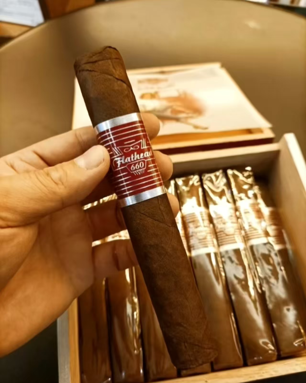 CAO V660公牛