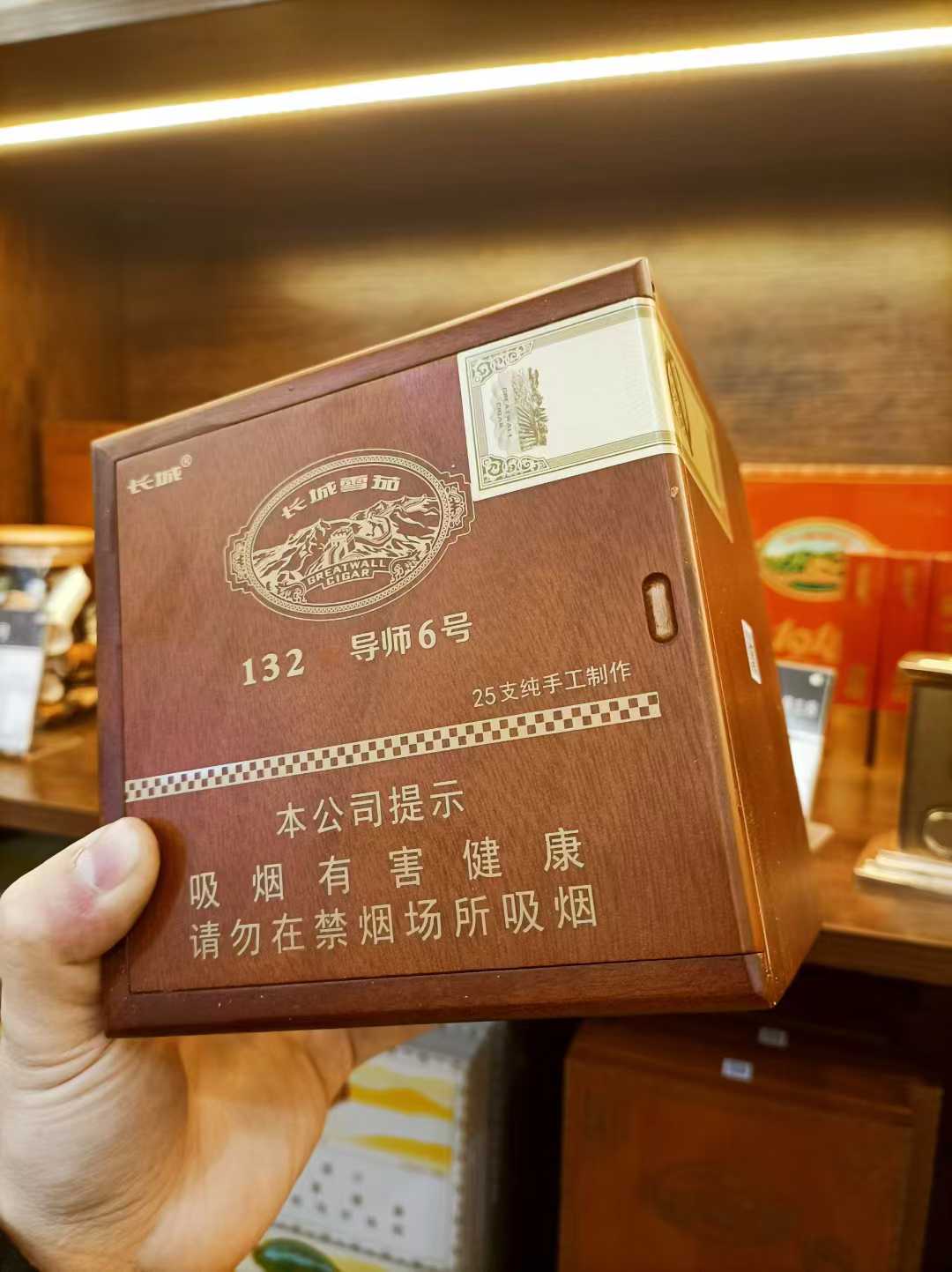 长城导师6号