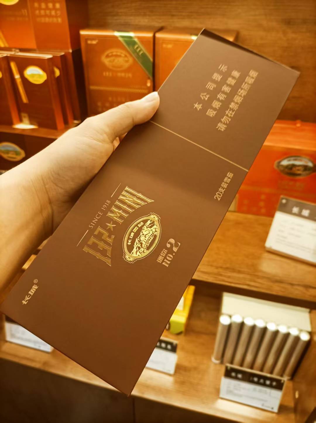 长城132迷你2号