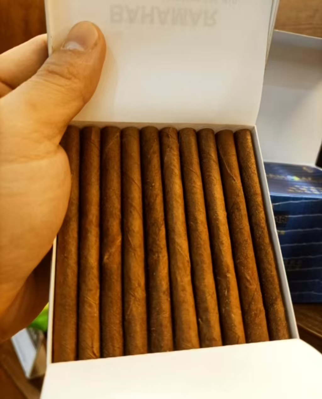 泰山蓝色巴哈马