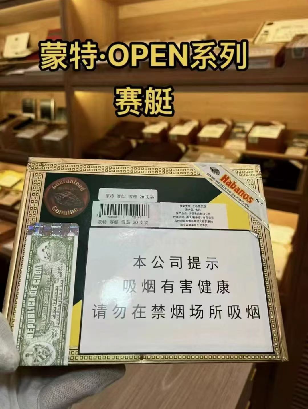 蒙特赛艇